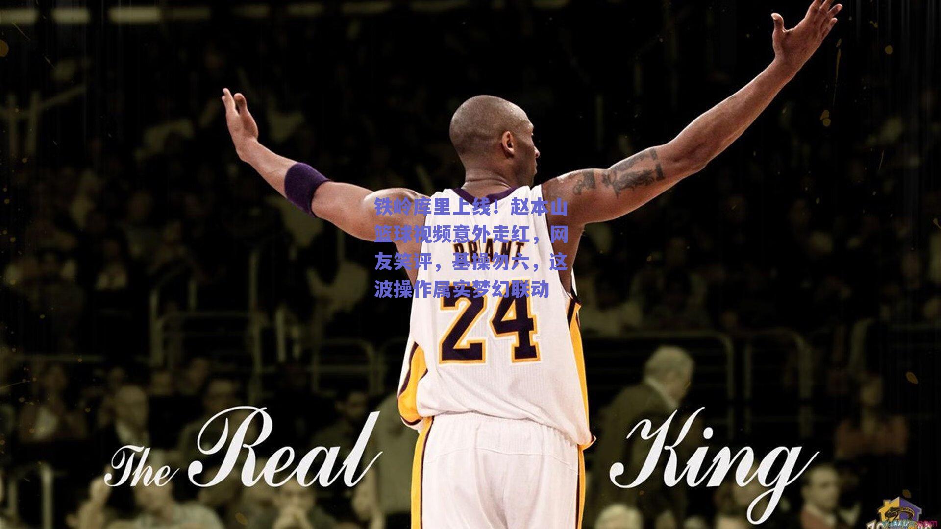 铁岭库里上线!赵本山篮球视频意外走红,网友笑评,基操勿六,这波操作属实梦幻联动